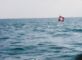 The Film